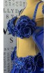 Professional bellydance costume Classic 481A_1